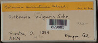 Image Associated With the Occurence